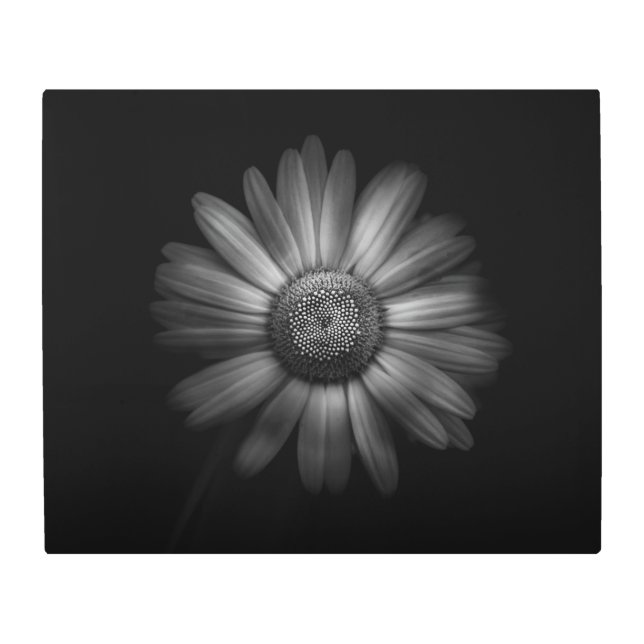 Impresión En Metal Flores De Patio Trasero En Blanco Y Negro No 31 (Anverso)