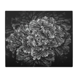 Impresión En Metal Flores De Patio Trasero En Blanco Y Negro No 42