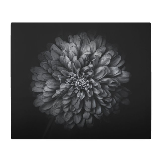 Impresión En Metal Flores De Patio Trasero En Blanco Y Negro No 68 (Anverso)