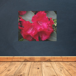 Impresión En Metal Flores de rododendros rosados