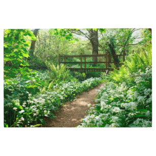 Impresión En Metal Flores Flores silvestres blancas en el bosque