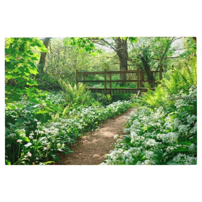 Impresión En Metal Flores | Flores silvestres blancas en el bosque (Anverso)