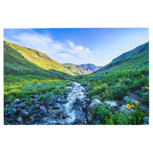 Impresión En Metal Flores   Flores silvestres en Colorado