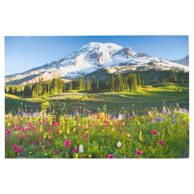 Impresión En Metal Flores | Mt. Rainier Wildflowers (Anverso)