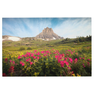 Impresión En Metal Flores   Parque nacional Glaciar de Montana