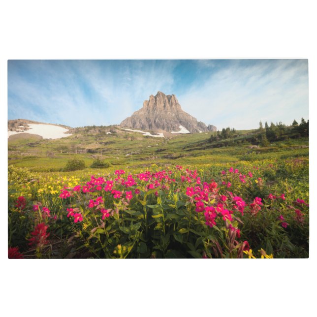 Impresión En Metal Flores | Parque nacional Glaciar de Montana (Anverso)