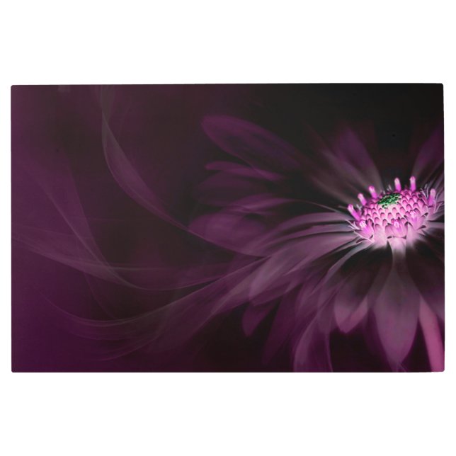Impresión En Metal Flores | Púrpura Daisy (Anverso)