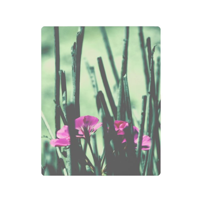 Impresión En Metal Flores rosas (Anverso)