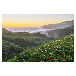 Impresión En Metal Flores   Santa Cruz California