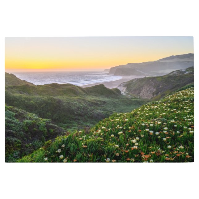 Impresión En Metal Flores | Santa Cruz California (Anverso)