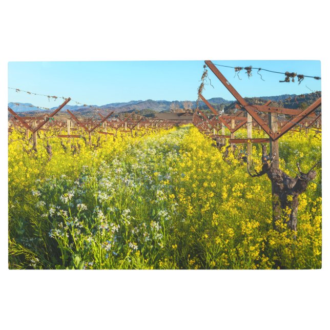 Impresión En Metal Flores silvestres de viñedo (Anverso)