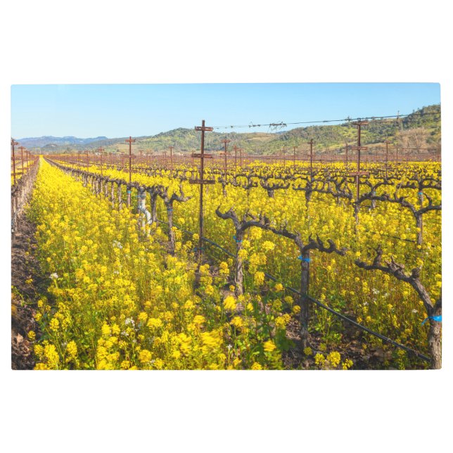 Impresión En Metal Flores silvestres de viñedo (Anverso)