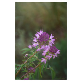 Impresión En Metal Flores violetas