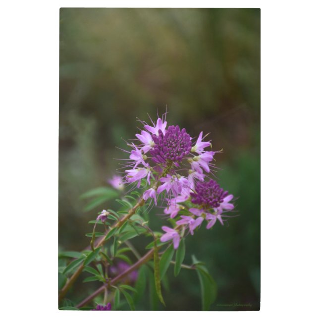Impresión En Metal Flores violetas (Anverso)