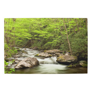 Impresión En Metal Flujos de horquilla recta a través del bosque