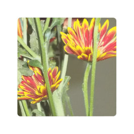 Impresión En Metal Foto De Flor De Visita