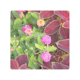 Impresión En Metal Foto de Flores