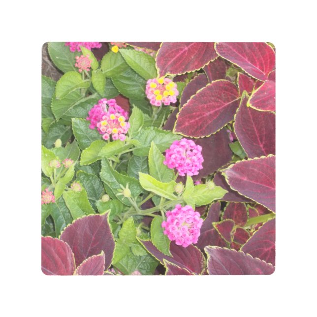 Impresión En Metal Foto de Flores (Anverso)