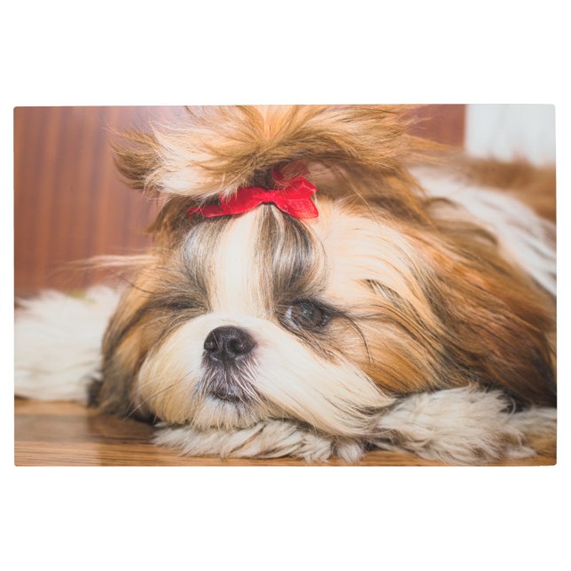 Impresión En Metal Foto de su personalizado de cachorros de perro mas (Anverso)