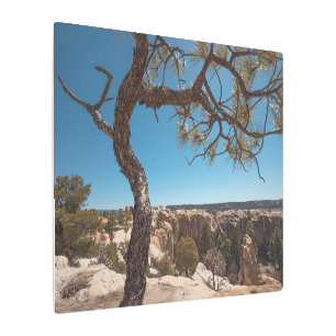 Impresión En Metal Foto del paisaje de Nuevo México
