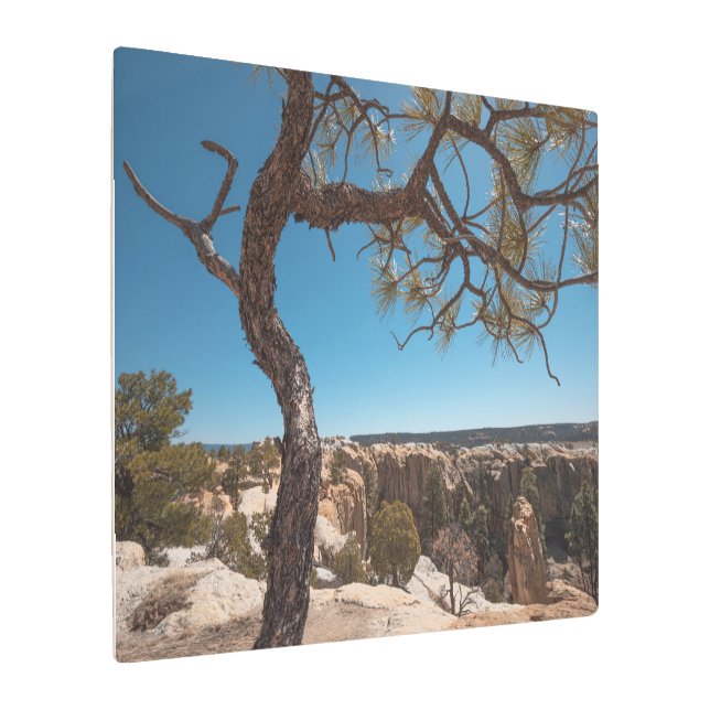 Impresión En Metal Foto del paisaje de Nuevo México (Angulado)