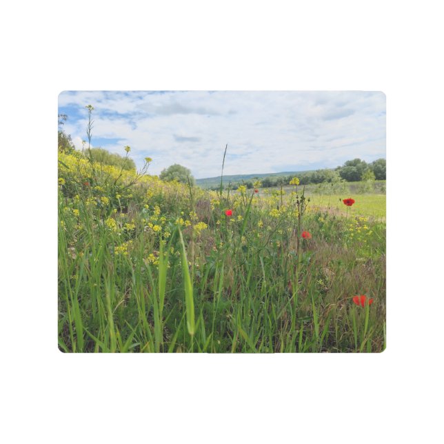 Impresión En Metal Fotografía de primavera a orillas del río (Anverso)