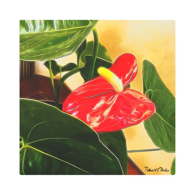 Impresión En Metal Fotografía floral del solo Anthurium rojo (Anverso)