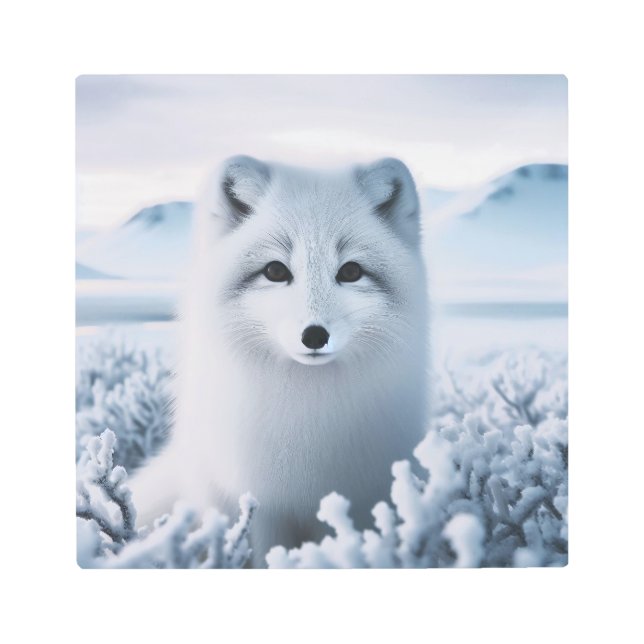 Impresión En Metal Fox Ártica en Winter Wonderland: Vida salvaje sere (Anverso)