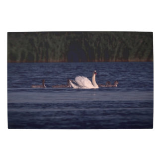 Impresión En Metal Frozen reality - Beautiful nature 428