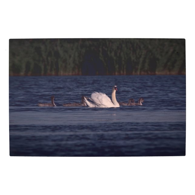 Impresión En Metal Frozen reality - Beautiful nature 428 (Anverso)