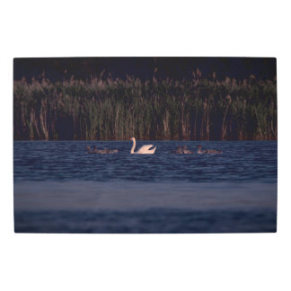 Impresión En Metal Frozen reality - Beautiful nature 430