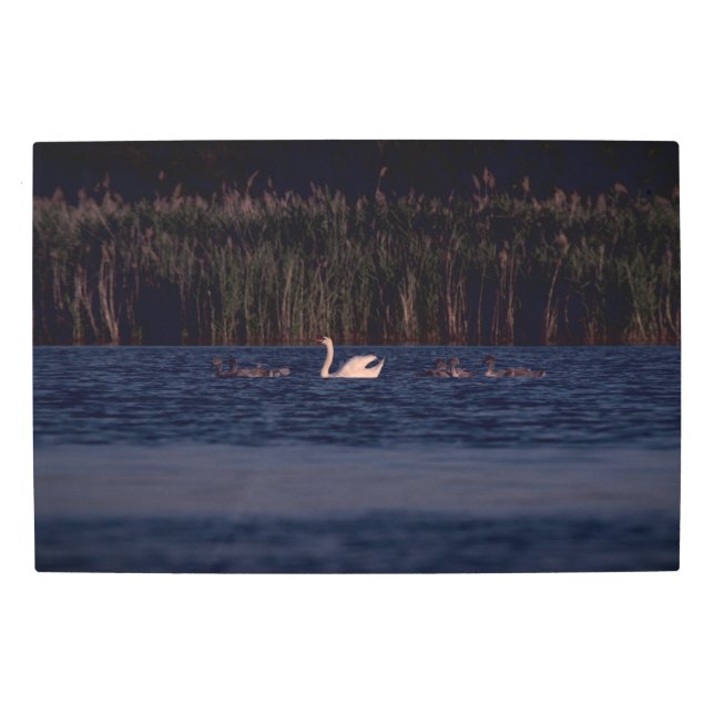 Impresión En Metal Frozen reality - Beautiful nature 430 (Anverso)