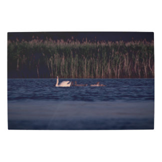 Impresión En Metal Frozen reality - Beautiful nature 431