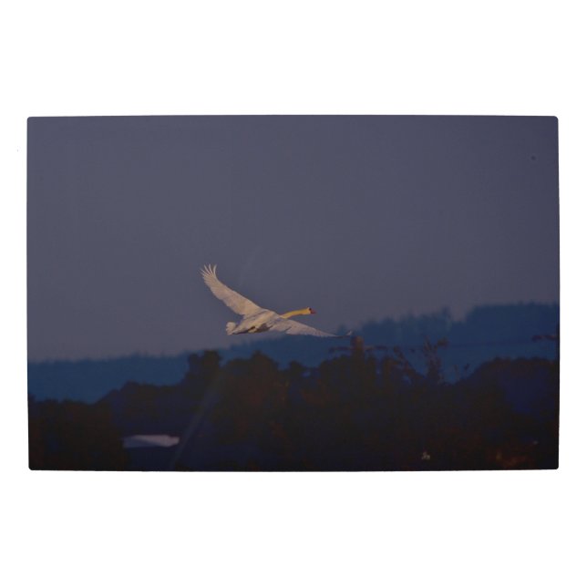 Impresión En Metal Frozen reality - Beautiful nature 432 (Anverso)