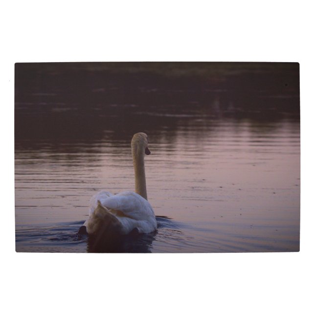 Impresión En Metal Frozen reality - Beautiful nature 436 (Anverso)