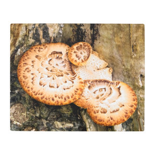 IMPRESIÓN EN METAL FUNGI  