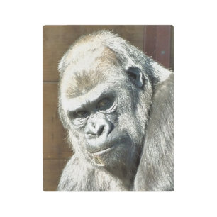 IMPRESIÓN EN METAL FUNNY GORILLA