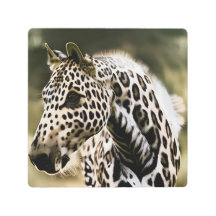 Funny Leopard Appaloosa