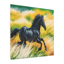 Gala de caballos negros en un campo vibrante de