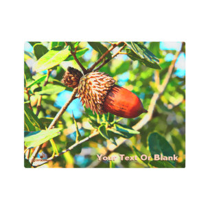 Impresión En Metal Galilee Acorn