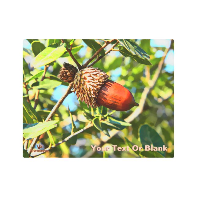 Impresión En Metal Galilee Acorn (Anverso)