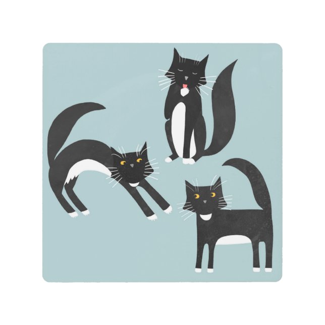 Impresión En Metal Gato negro y blanco del tuxedo (Anverso)