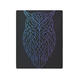 Impresión En Metal Geometric Owl Metal Print