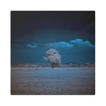 Ghostly Infraredworld 47