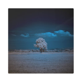 Impresión En Metal Ghostly Infraredworld 47