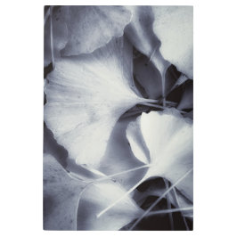 Impresión En Metal Gingko Leaves