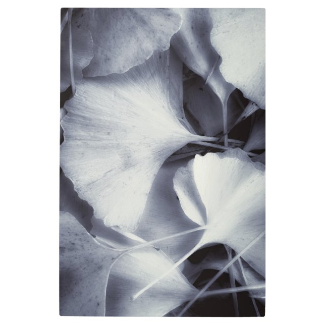 Impresión En Metal Gingko Leaves (Anverso)