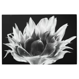 Impresión En Metal Girasol