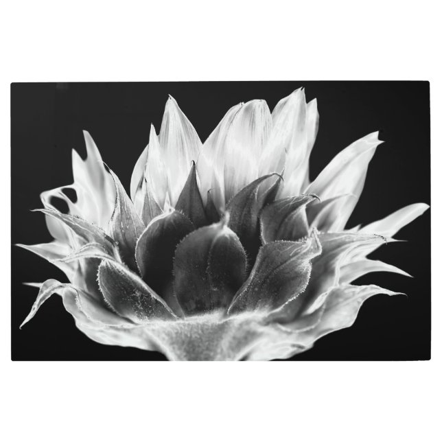 Impresión En Metal Girasol (Anverso)