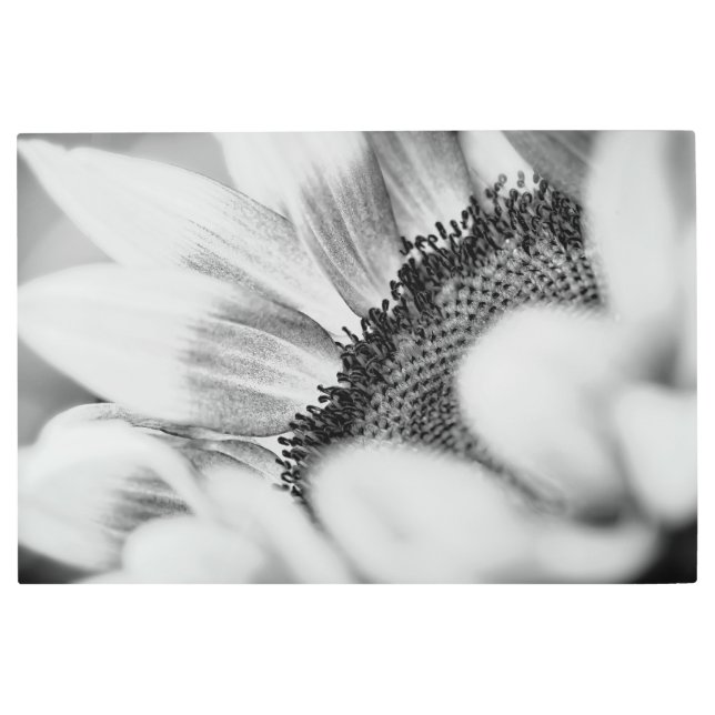 Impresión En Metal Girasol (Anverso)